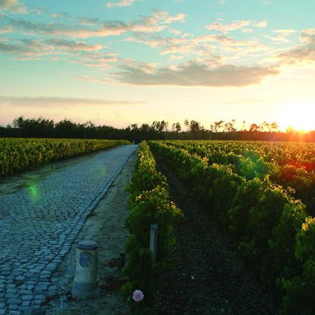 Chateau Du Tertre Arsac Ngoại thất bức ảnh