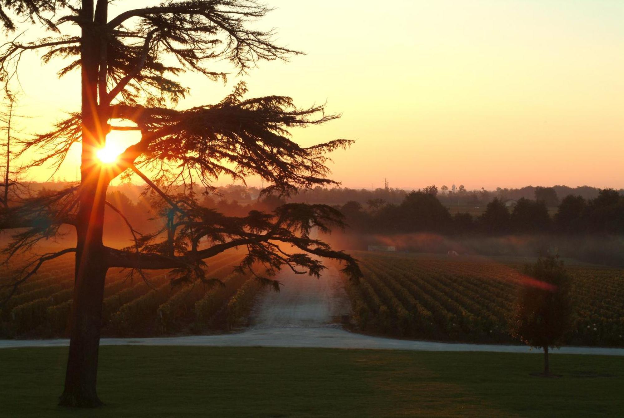 Chateau Du Tertre Arsac Ngoại thất bức ảnh